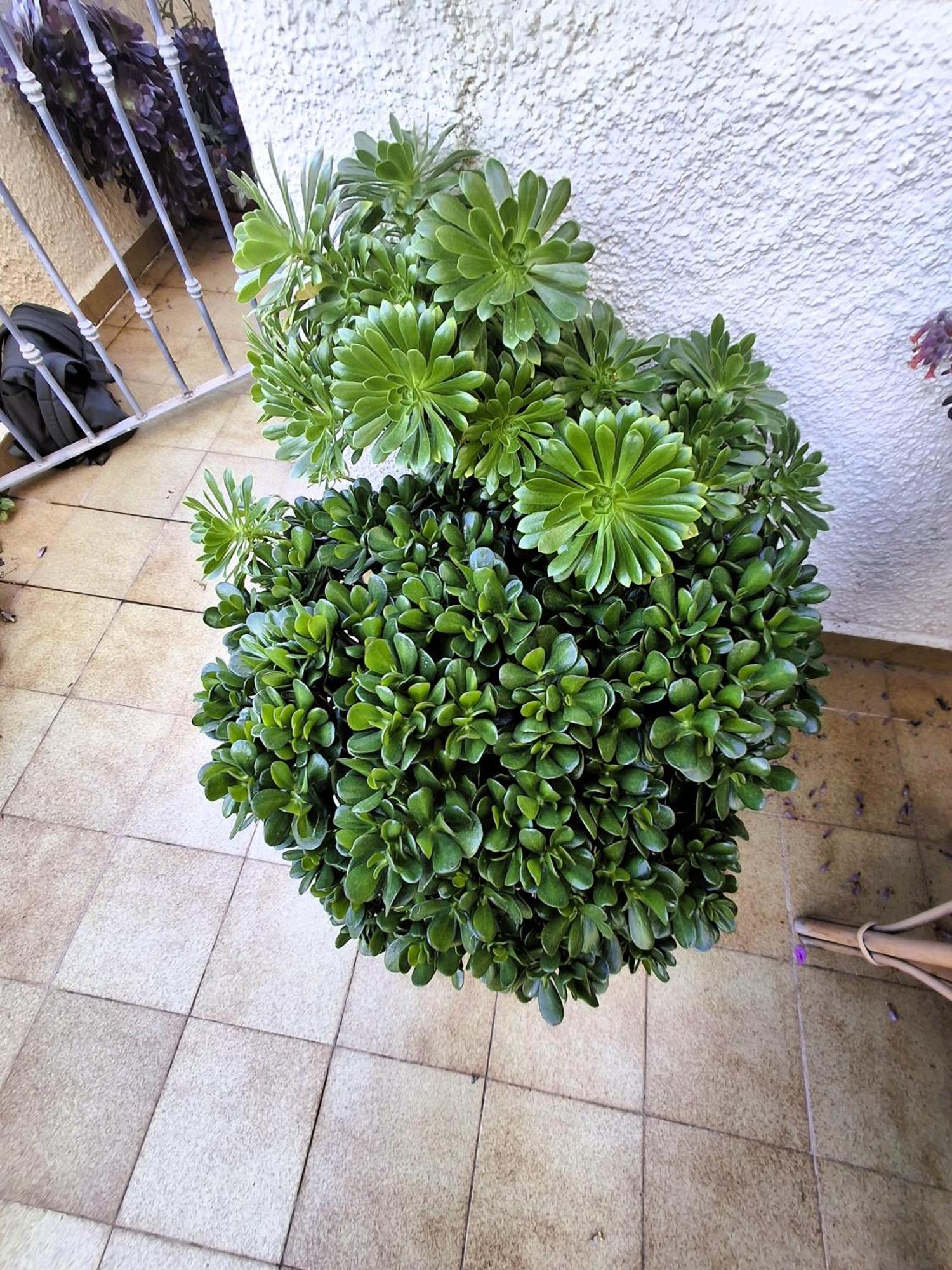 Apartemento Monika Monte Pedrera C 4 Top Aussicht Denia Εξωτερικό φωτογραφία